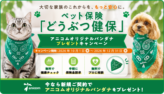 アニコム