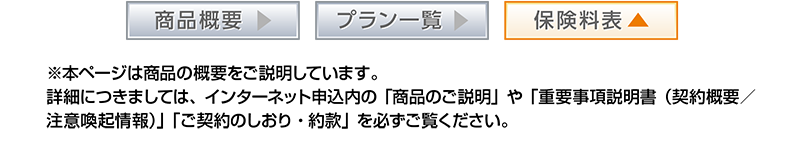 ※本ページは商品の概略のみをご説明したものです。ご契約の際にはインターネット申込み内の「商品説明」や「重要事項（契約概要・注意喚起情報）」「ご契約のしおり・約款」を必ずご覧ください。